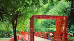 5 Tempat Wisata di Bandung yang Gratis untuk Dikunjungi teras cikapundung
