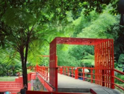 5 Tempat Wisata di Bandung yang Gratis untuk Dikunjungi